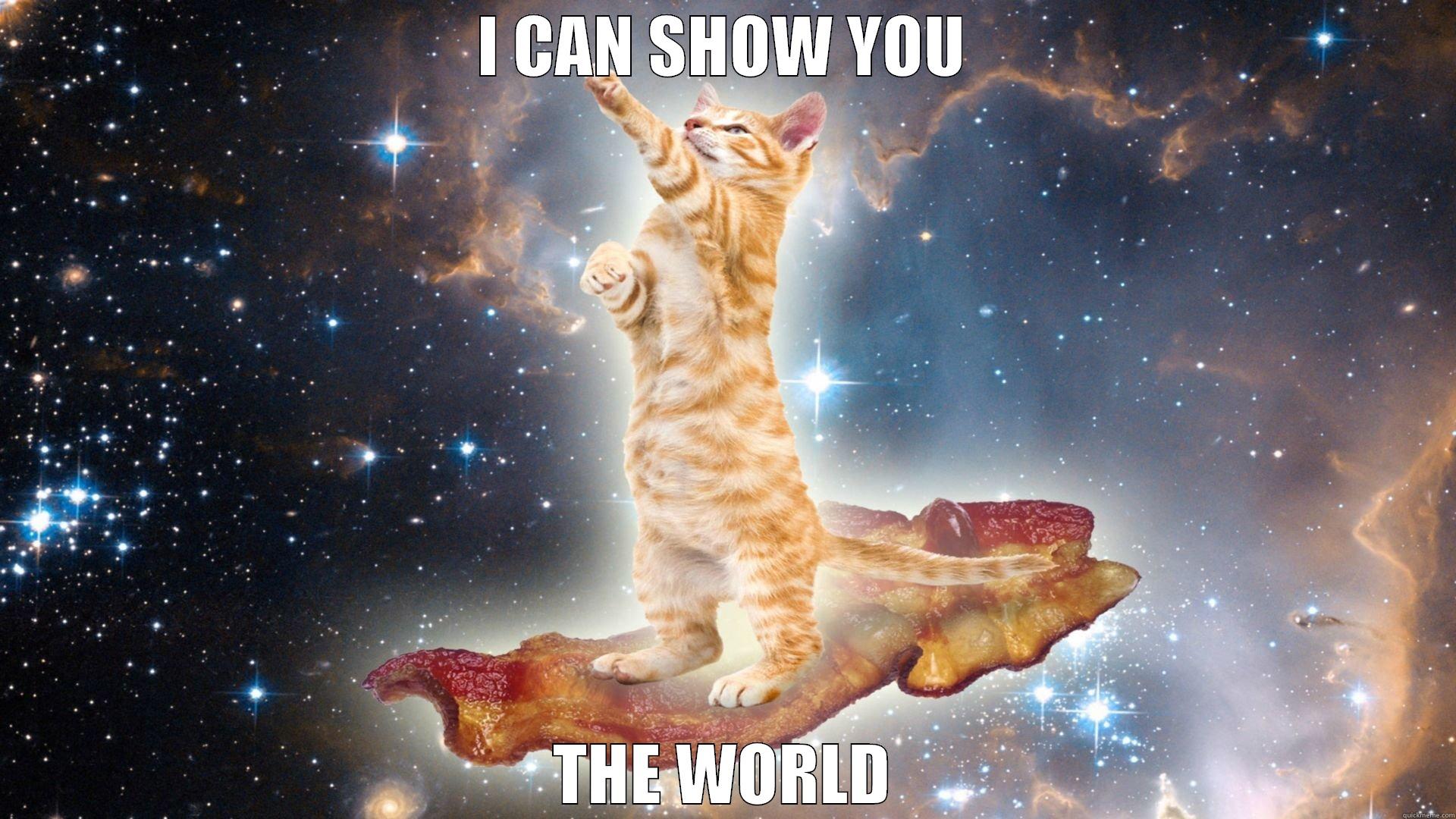 I CAN SHOW YOU THE WORLD Misc