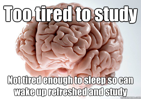 Too tired to study Not tired enough to sleep so can wake up refreshed and study   Scumbag Brain