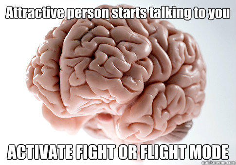 Attractive person starts talking to you ACTIVATE FIGHT OR FLIGHT MODE   Scumbag Brain