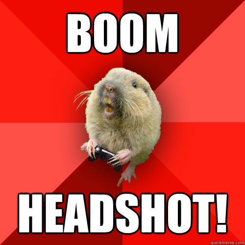 BOOM HEADSHOT!  Gaming Gopher