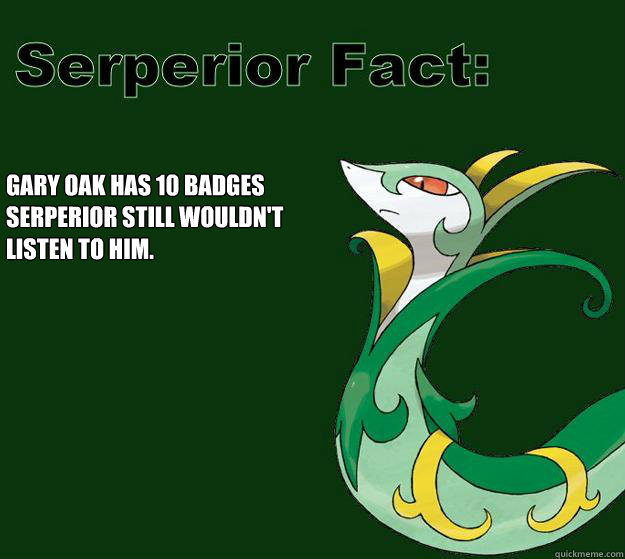 Gary Oak has 10 Badges Serperior still wouldn't listen to him.  Serperior Facts