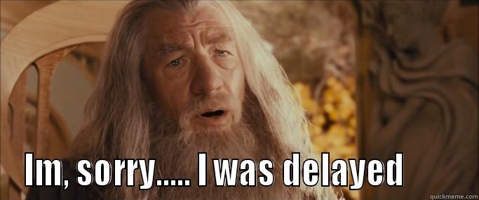 gandalf delayed!!!! -  IM, SORRY..... I WAS DELAYED        Misc