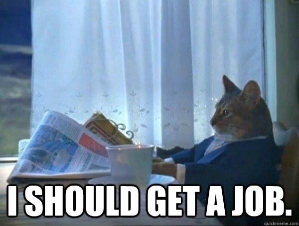  I should get a job.  morning realization newspaper cat meme