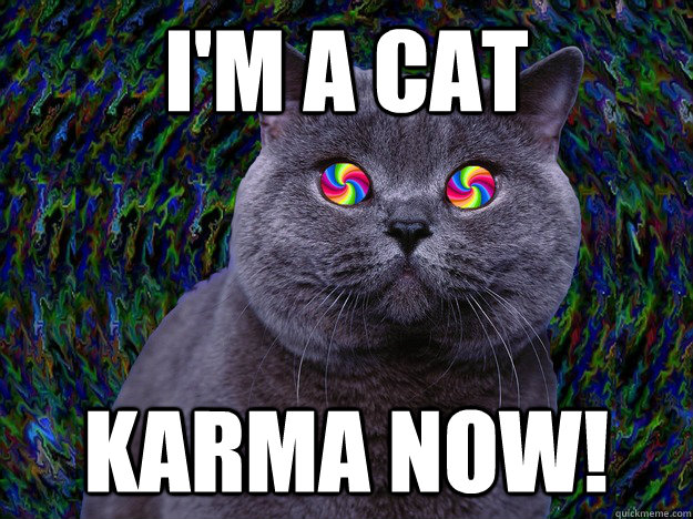 I'm a cat karma now! - I'm a cat karma now!  Hypnosis Cat