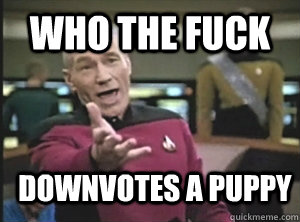 who the fuck downvotes a puppy - who the fuck downvotes a puppy  Annoyed Picard