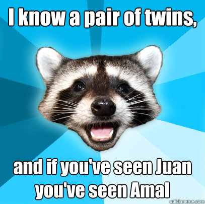 I know a pair of twins, and if you've seen Juan you've seen Amal  Lame Pun Coon