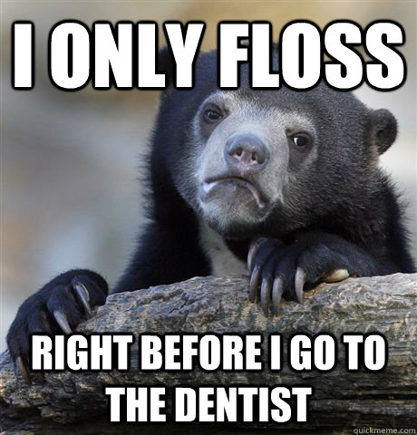 I only floss right before I go to the Dentist - I only floss right before I go to the Dentist  Misc