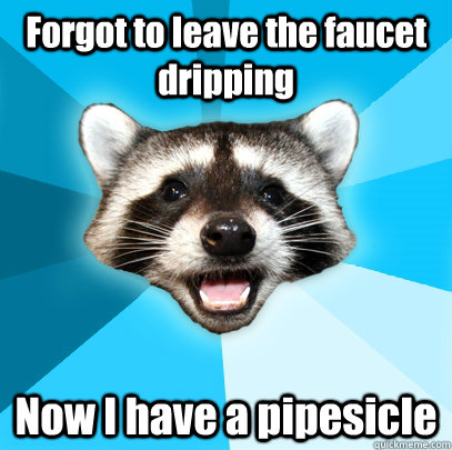 Forgot to leave the faucet dripping Now I have a pipesicle - Forgot to leave the faucet dripping Now I have a pipesicle  Lame Pun Coon