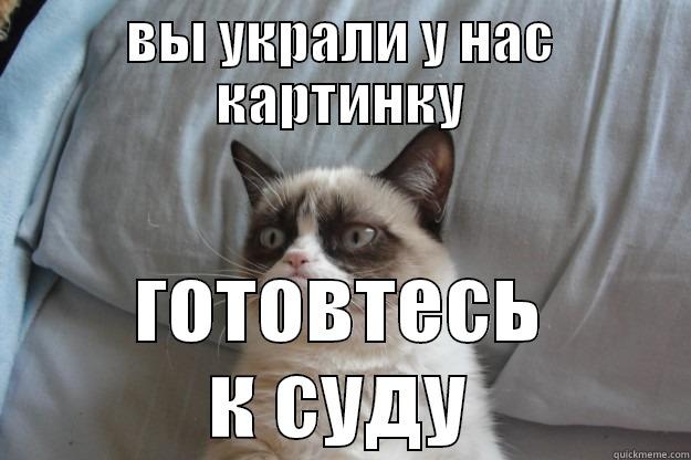 ВЫ УКРАЛИ У НАС КАРТИНКУ ГОТОВТЕСЬ К СУДУ Grumpy Cat