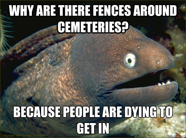 why are there fences around cemeteries? because people are dying to get in  Bad Joke Eel