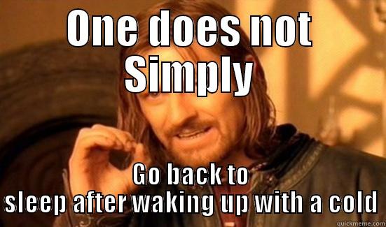 ONE DOES NOT SIMPLY GO BACK TO SLEEP AFTER WAKING UP WITH A COLD Boromir