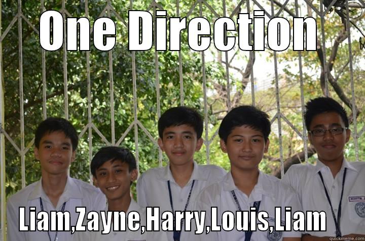 Wrong direction - ONE DIRECTION LIAM,ZAYNE,HARRY,LOUIS,LIAM    Misc