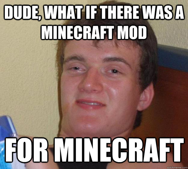 dude, what if there was a minecraft mod for minecraft  10 Guy