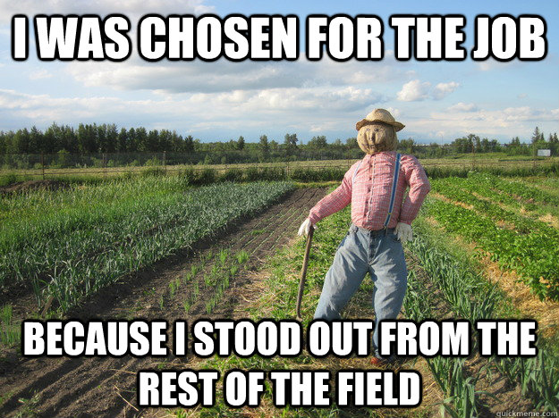 I was chosen for the job Because I stood out from the rest of the field  Scarecrow