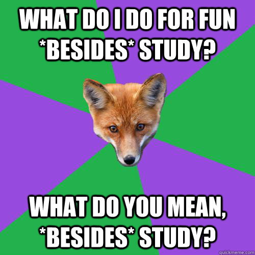 what do I do for fun *besides* study? What do you mean, *besides* study?  Anthropology Major Fox