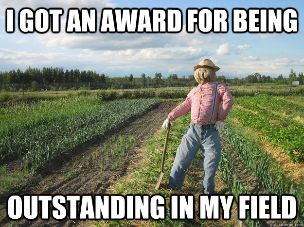 i got an award for being Outstanding in my field  Scarecrow