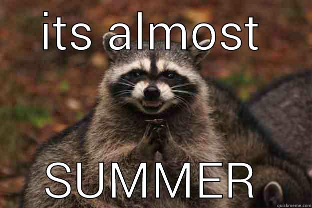 ohh yeah - ITS ALMOST SUMMER Evil Plotting Raccoon