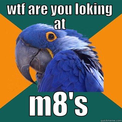 wtf are you loking at m8's - WTF ARE YOU LOKING AT M8'S Paranoid Parrot