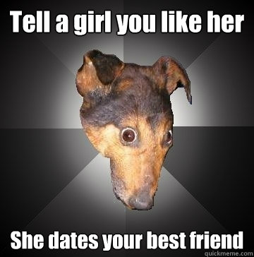 Tell a girl you like her She dates your best friend  Depression Dog