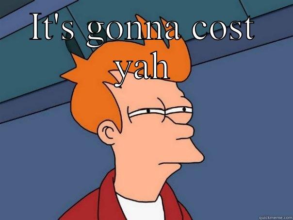 IT'S GONNA COST YAH  Futurama Fry