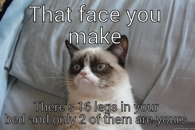 Bedtime blues - THAT FACE YOU MAKE THERE'S 16 LEGS IN YOUR BED AND ONLY 2 OF THEM ARE YOURS Grumpy Cat