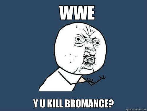 WWE Y U KILL BROMANCE?  Y U No