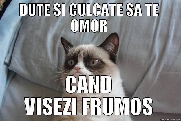 DUTE SI CULCATE SA TE OMOR CAND VISEZI FRUMOS Grumpy Cat