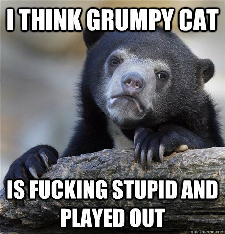 I think grumpy cat is fucking stupid and played out - I think grumpy cat is fucking stupid and played out  Confession Bear