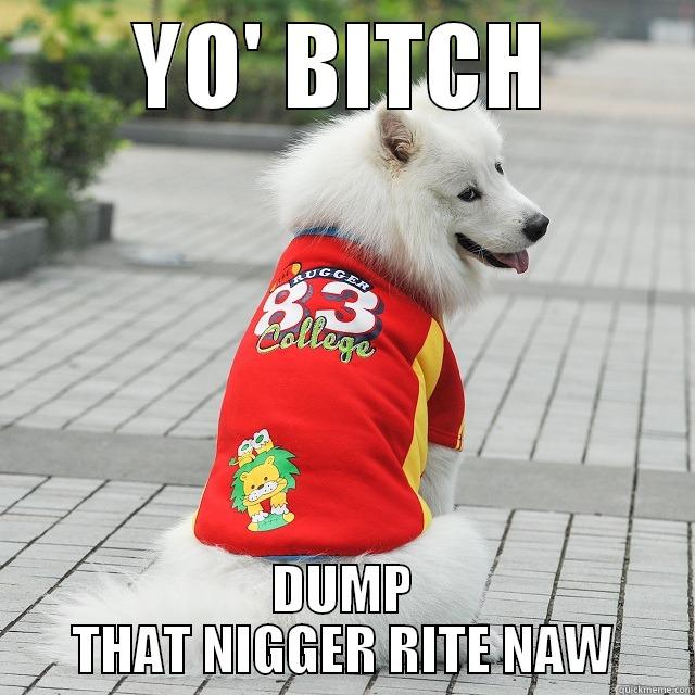 YO' BITCH DUMP THAT NIGGER RITE NAW Misc