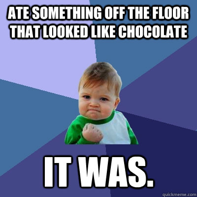 ate something off the floor that looked like chocolate it was. - ate something off the floor that looked like chocolate it was.  Success Kid