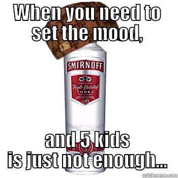 WHEN YOU NEED TO SET THE MOOD, AND 5 KIDS IS JUST NOT ENOUGH... Scumbag Alcohol