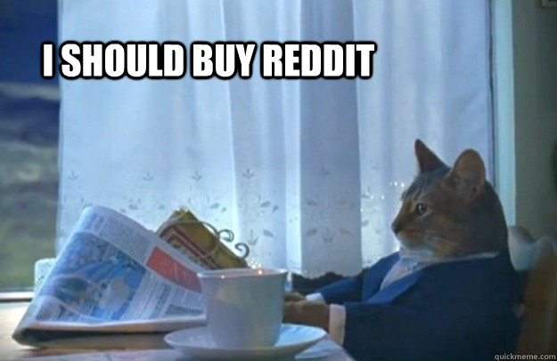 I should buy Reddit  Sophisticated Cat