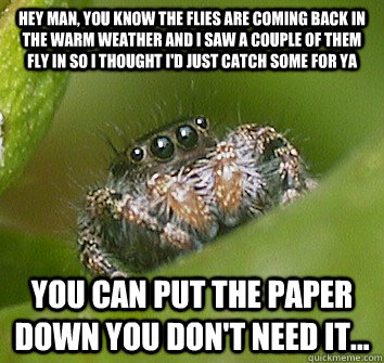 Hey man, you know the flies are coming back in the warm weather and I saw a couple of them fly in so I thought i'd just catch some for ya you can put the paper down you don't need it...  Misunderstood Spider