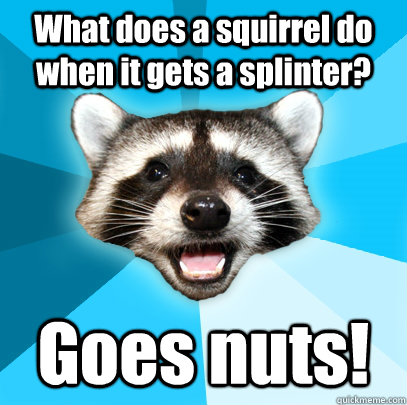 What does a squirrel do when it gets a splinter? Goes nuts!  Lame Pun Coon