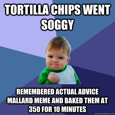 tortilla chips went soggy remembered actual advice mallard meme and baked them at 350 for 10 minutes  Success Kid