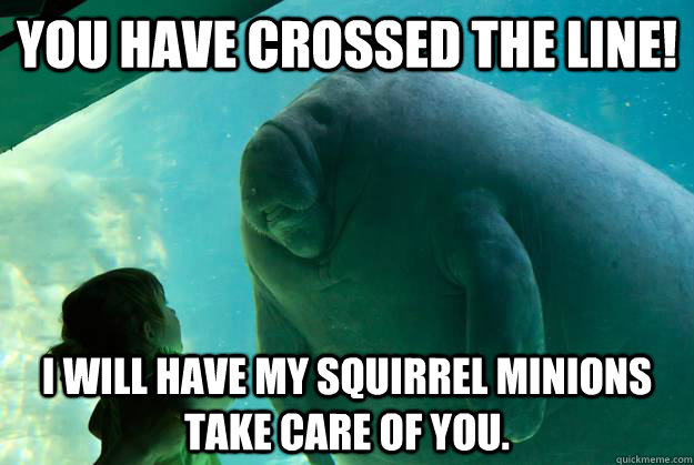 You have crossed the line! I will have my squirrel minions take care of you. - You have crossed the line! I will have my squirrel minions take care of you.  Overlord Manatee