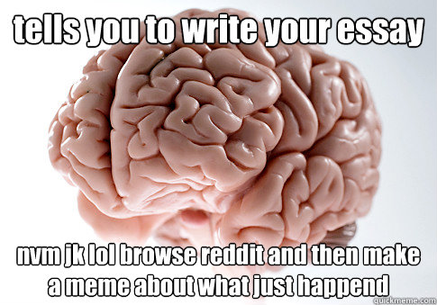 tells you to write your essay nvm jk lol browse reddit and then make a meme about what just happend   Scumbag Brain