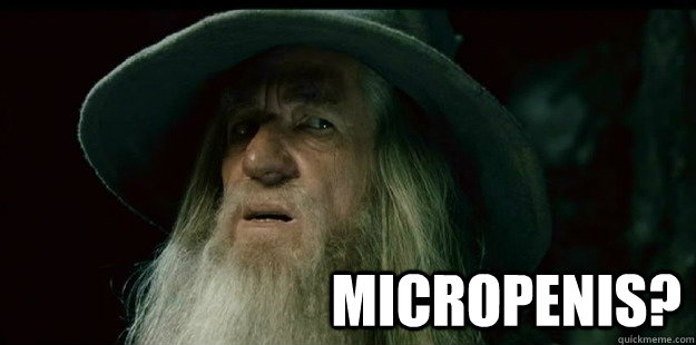                              Micropenis? -                              Micropenis?  I have no memory Gandalf