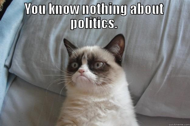 Political Cat - YOU KNOW NOTHING ABOUT POLITICS.  Grumpy Cat