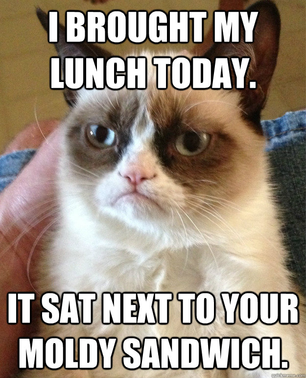 I brought my lunch today. It sat next to your moldy sandwich.  Grumpy Cat