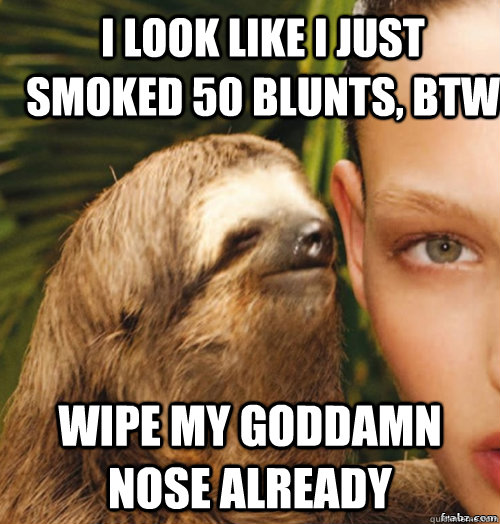 I look like i just smoked 50 blunts, btw Wipe my goddamn nose already - I look like i just smoked 50 blunts, btw Wipe my goddamn nose already  rape sloth