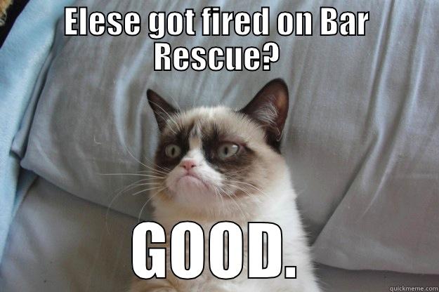 ELESE GOT FIRED ON BAR RESCUE? GOOD. Grumpy Cat