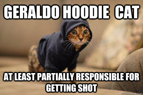Geraldo Hoodie  cat at least partially responsible for getting shot - Geraldo Hoodie  cat at least partially responsible for getting shot  Hoodie Cat