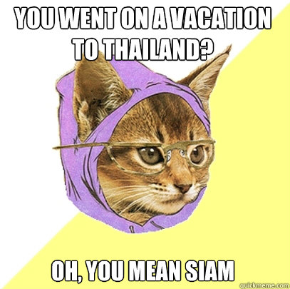 you went on a vacation to thailand? oh, you mean siam  Hipster Kitty