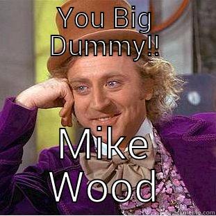 YOU BIG DUMMY!! MIKE WOOD Condescending Wonka