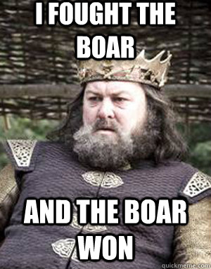 i fought the boar and the boar won  King robert baratheon