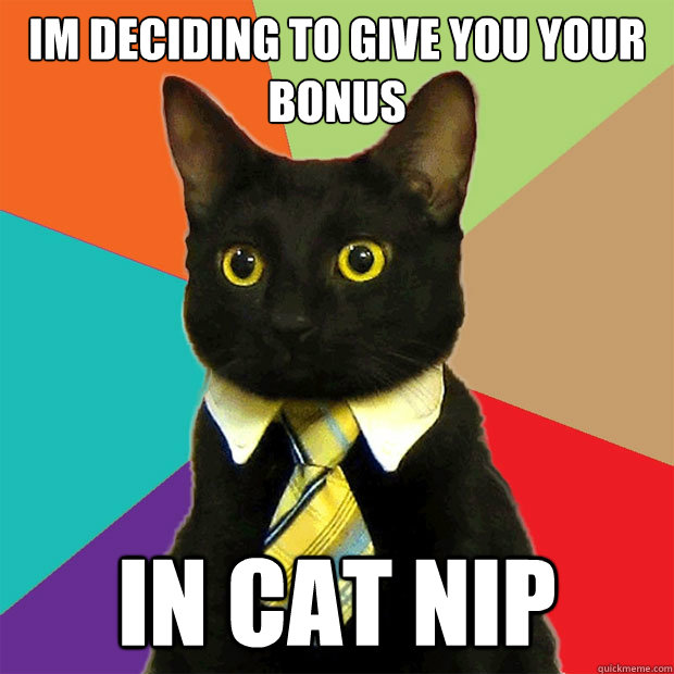 im deciding to give you your bonus in cat nip  Business Cat