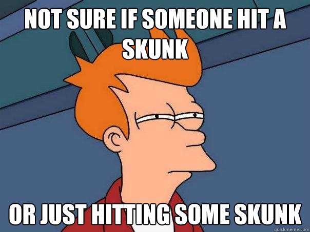 Not sure if someone hit a skunk or just hitting some skunk  Futurama Fry