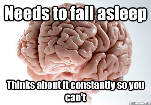 Needs to fall asleep Thinks about it constantly so you can't   Scumbag Brain