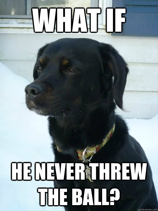 What if he never threw the ball?  Philosophical Puppy